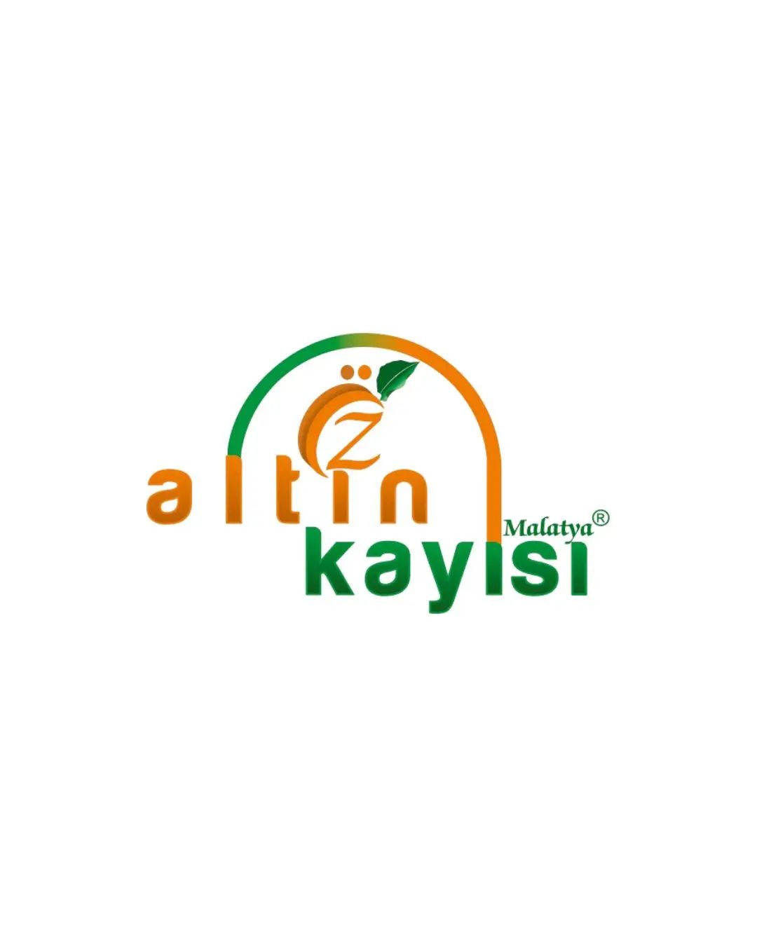 ÖZ ALTIN KAYISI