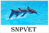 SNPVET