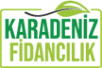 KaradenizFidancilik