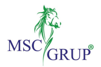 Msc Grup