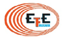 Efebilgi